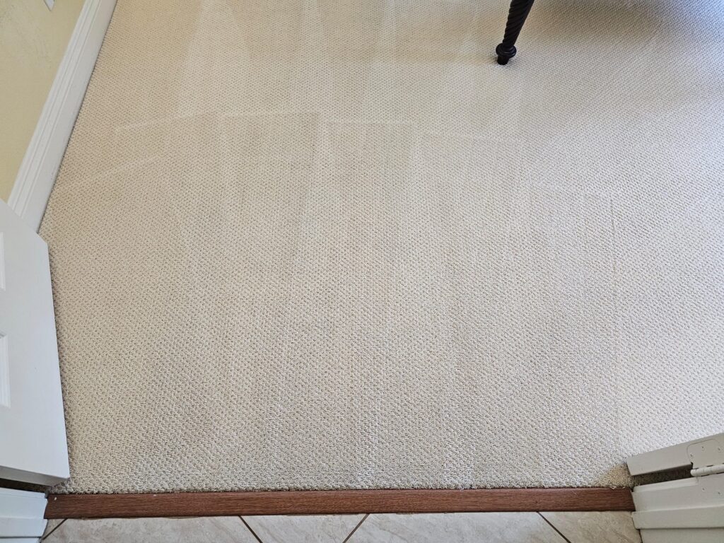 how long does it take a carpet to dry